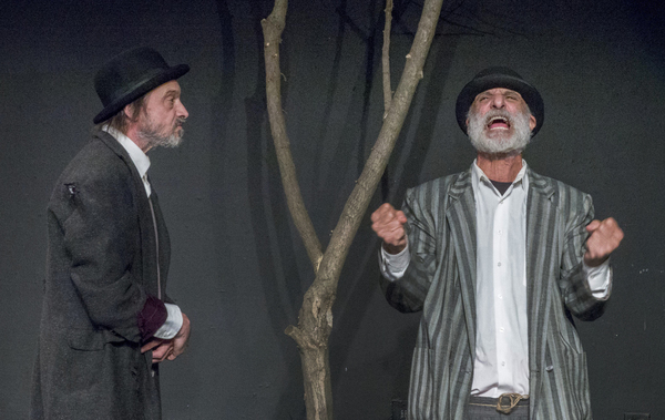 Photo Flash: First Look At WAITING FOR GODOT At Victory Gardens Image