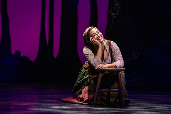 Photo Flash: First Look at Photos From Rodgers & Hammerstein's CINDERELLA at Paper Mill Playhouse Image