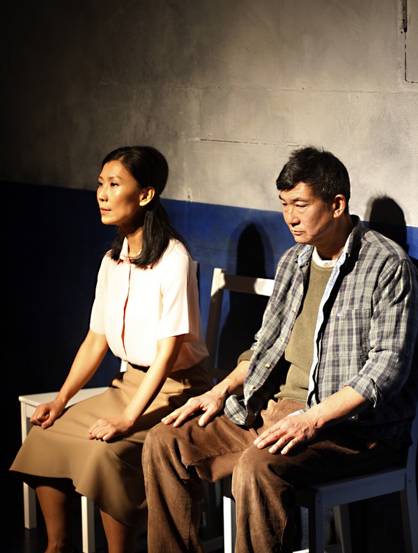Photo Flash: First Look at Production Photos of WILD GOOSE DREAMS at the Ustinov Studio 