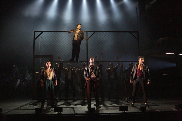 Photo Flash: First Look at WEST SIDE STORY at Curve (Leicester) Image
