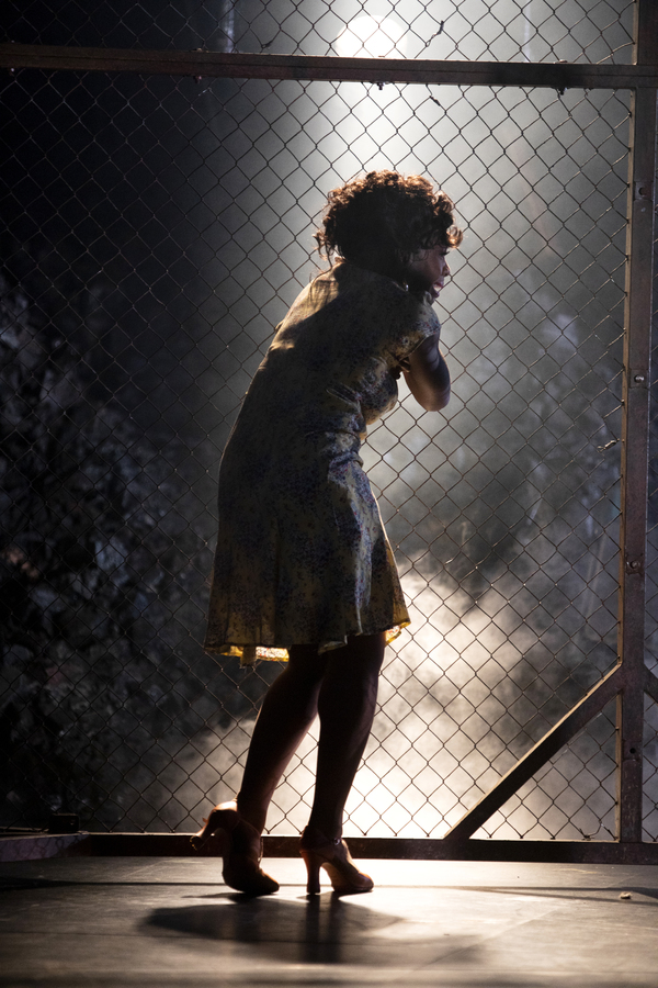 Photo Flash: First Look at WEST SIDE STORY at Curve (Leicester) Image