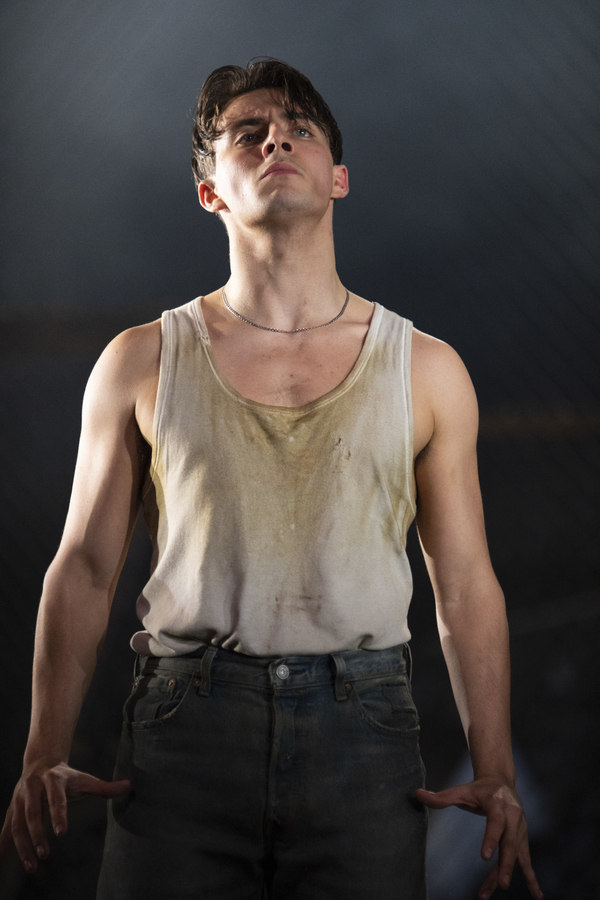 Photo Flash: First Look at WEST SIDE STORY at Curve (Leicester) Image