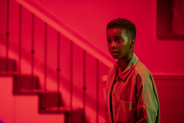 Photo Flash: First Look at Production Photos of FAIRVIEW at Young Vic Image