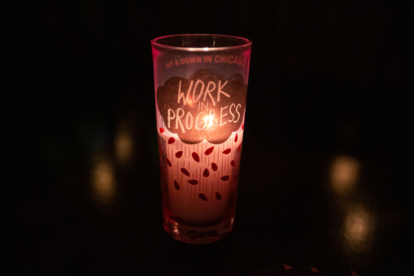 Photo Flash: Inside the Premiere For Showtime's WORK IN PROGRESS Image