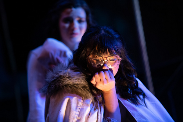 Photo Flash: First Look At Flint Repertory Theatre's INTO THE WOODS Image
