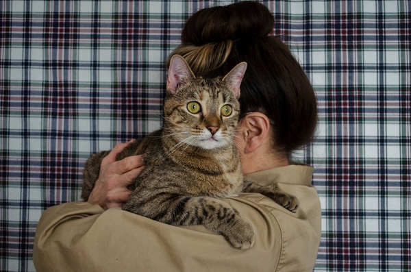 Tails of Broadway: Alice Ripley Cuddles Up with Carly and Suzy Image