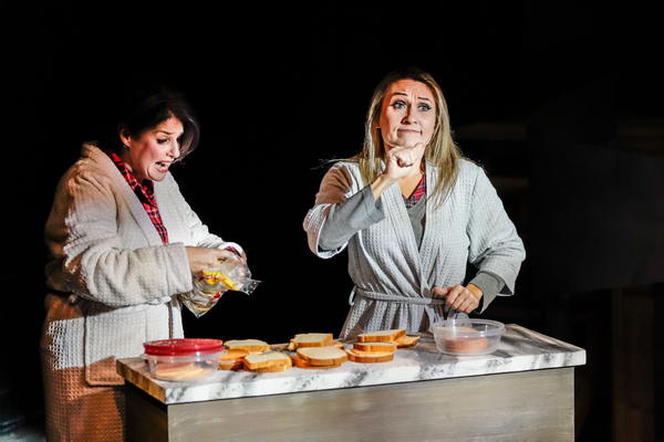 Photo Flash: Ground Floor Theatre and Deaf Theatre Austin Present NEXT TO NORMAL Image