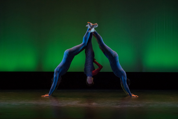 Photo Flash: Aura CuriAtlas Performs At Steppenwolf Image