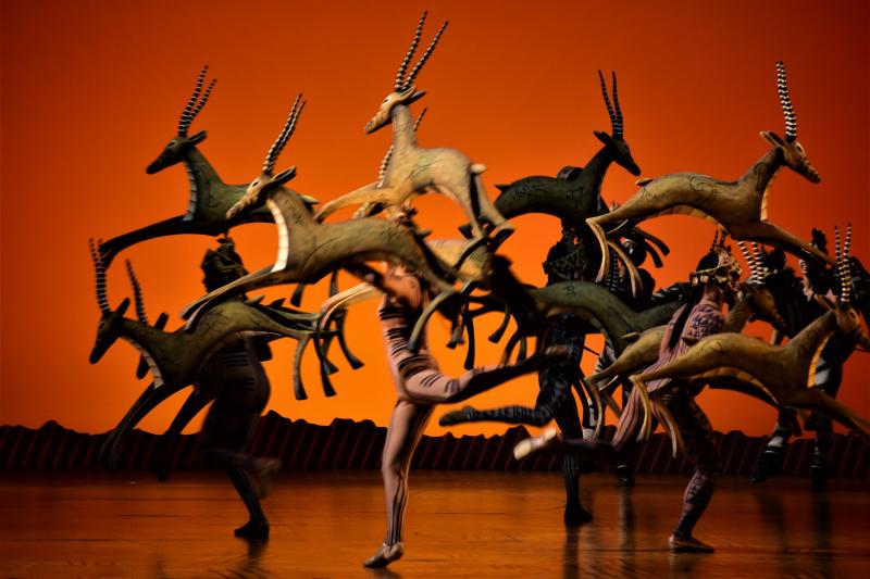 THE LION KING Plays in Hong Kong For The First Time! Here's Your First Look! 