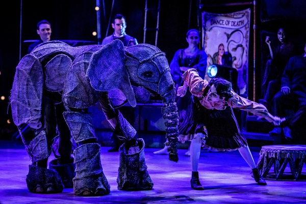 Photo Flash: First Look at All New Production Photos From CIRCUS 1903 at Southbank Centre's Royal Festival Hall 