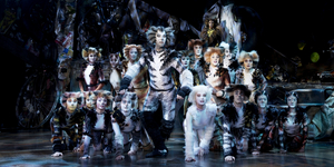 BWW Review: CATS at the Sands Theatre, what a fantastic mewsicle!