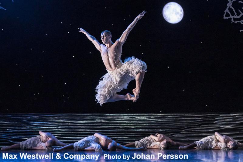 Interview: Max Westwell's Ever Ready To Rise To The Top In MATTHEW BOURNE'S SWAN LAKE  Image