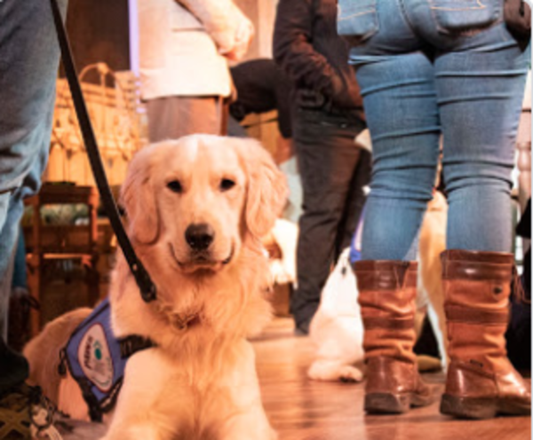 Photo Flash: Grand Rapids Civic Theatre Hosts Paws With A Cause for STREETCAR Preview  Image