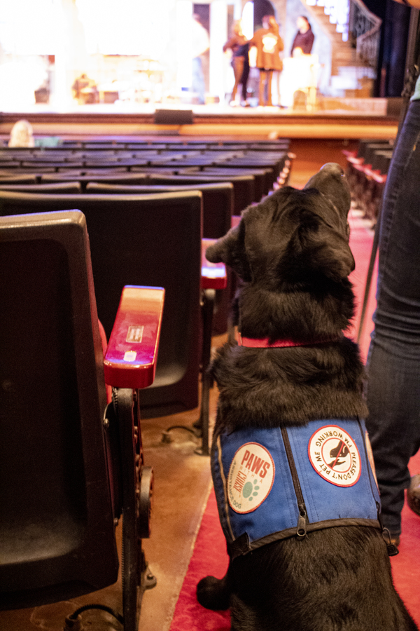 Photo Flash: Grand Rapids Civic Theatre Hosts Paws With A Cause for STREETCAR Preview 