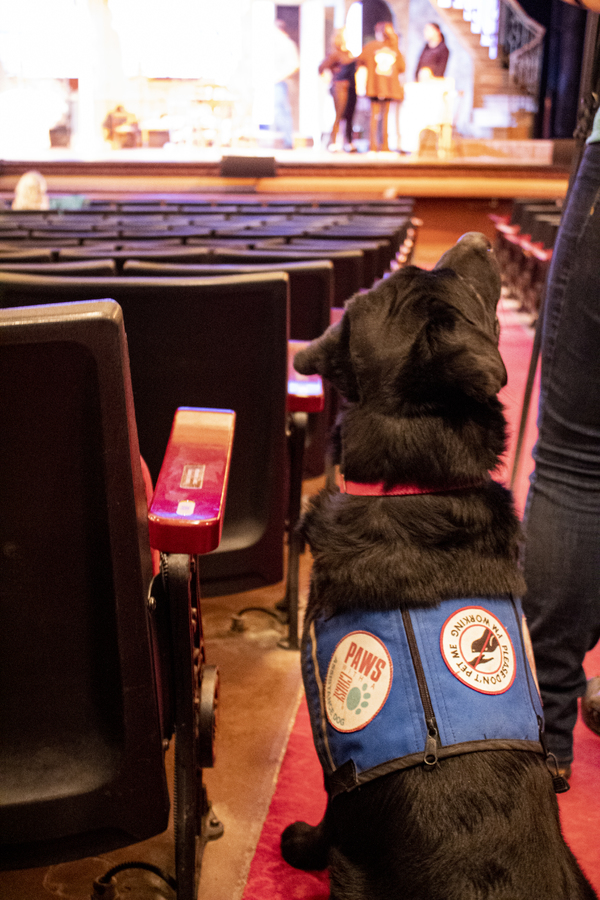 Photo Flash: Grand Rapids Civic Theatre Hosts Paws With A Cause for STREETCAR Preview  Image