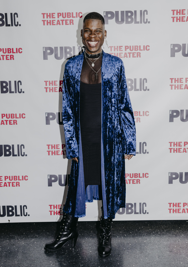 Photo Coverage: Go Inside the Public Theater's 16th Annual Under The Radar Festival Image
