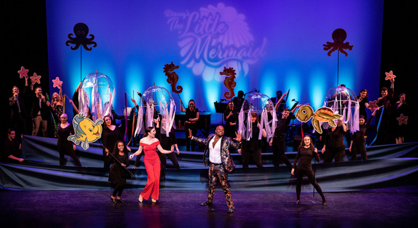 Photo Flash: Desi Oakley, Michael James Scott And More Headline 6th Annual CONCERT WITH THE STARS Image