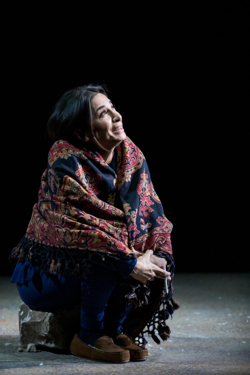 Photo Flash: Guthrie Theater's Production of NOURA Image