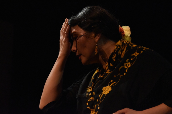 Photo Flash: 8th Annual Spring Flamenco Festival at Teatra Paraguas Image