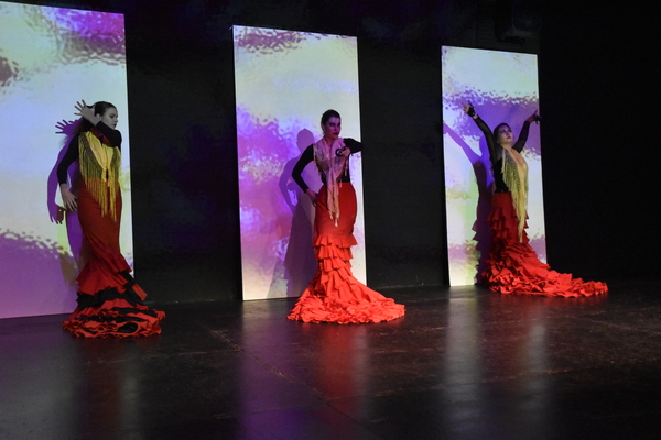 Photo Flash: 8th Annual Spring Flamenco Festival at Teatra Paraguas Image