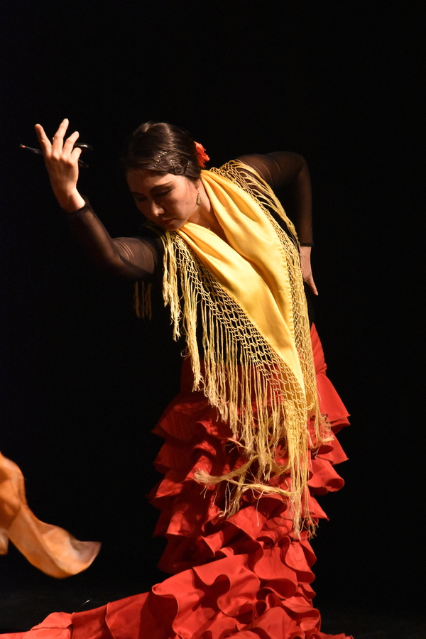 Photo Flash: 8th Annual Spring Flamenco Festival at Teatra Paraguas Image