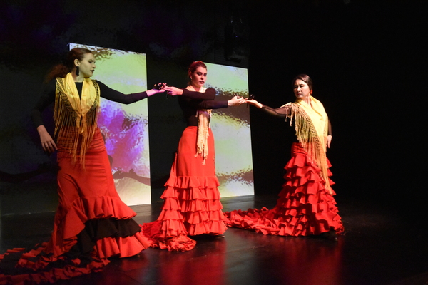 Photo Flash: 8th Annual Spring Flamenco Festival at Teatra Paraguas Image