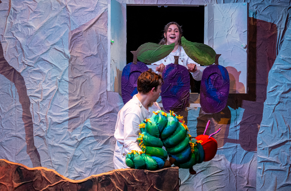 Photo Flash: First Look at THE VERY HUNGRY CATERPILLAR SHOW at ZACH Theatre Image