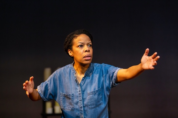 Photo Flash: First Look at Nilaja Sun in PIKE ST at Hartford Stage Image