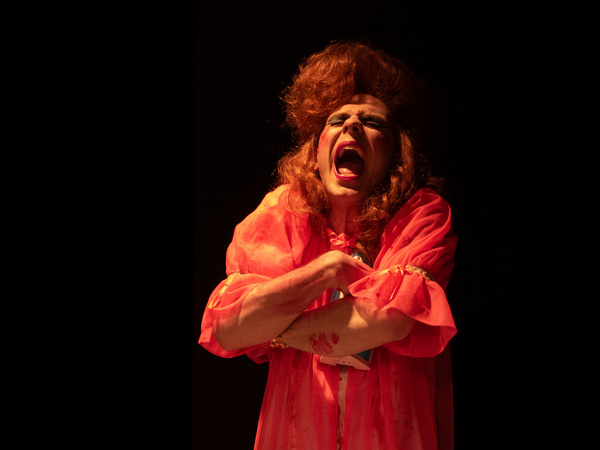 Photo Flash: First Look At OUT, DARN SPOT! At Rhinofest 2020 Image