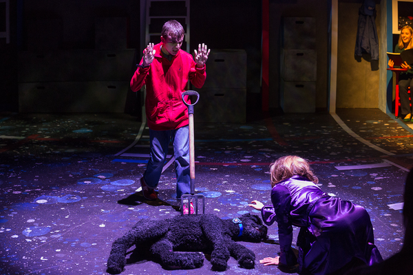 Photo Flash: THE CURIOUS INCIDENT OF THE DOG IN THE NIGHT-TIME At Raleigh Little Theatre Image