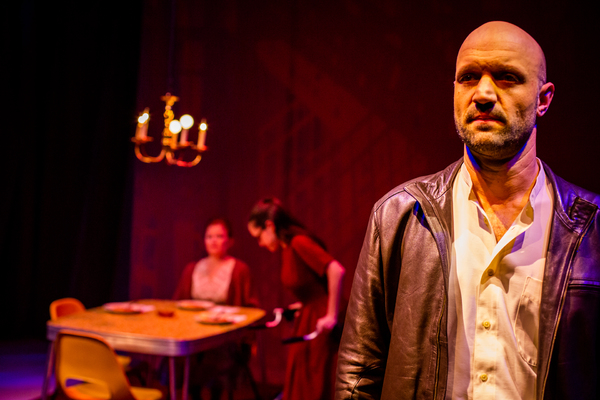 Photo Flash: First Look at The Phoenix Theatre's THE GLASS MENAGERIE Image