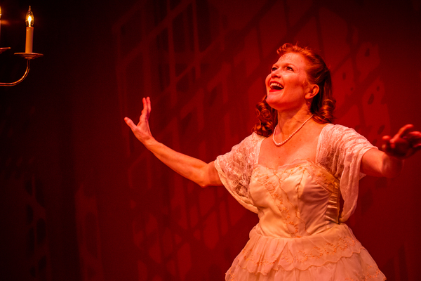 Photo Flash: First Look at The Phoenix Theatre's THE GLASS MENAGERIE Image
