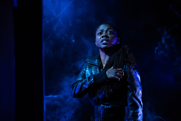 Photo Flash: First Look at Shattered Globe Theatre's SHEEPDOG Image
