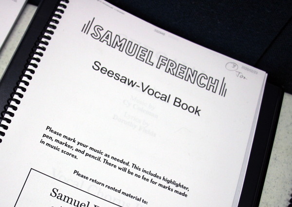 Photo Flash: Meet the Cast of SEESAW at Theatre Row Image