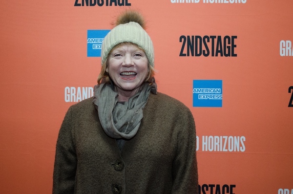 Photo Coverage: GRAND HORIZONS Cast Takes Opening Night Bows! Image