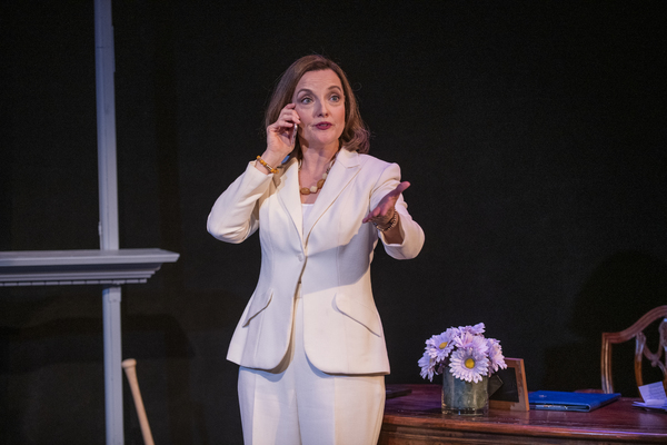 Photo Flash: Orlagh Cassidy Stars as Nancy Pelosi in THE ADULT IN THE ROOM 