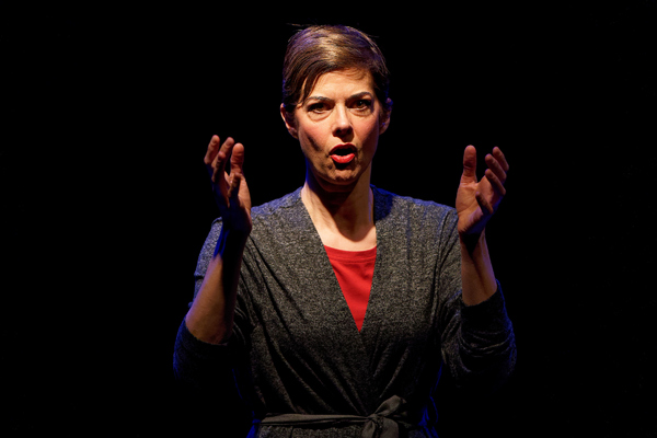 Photo Flash: Upstream Theater presents the English Language Premiere of WILDFIRE Image