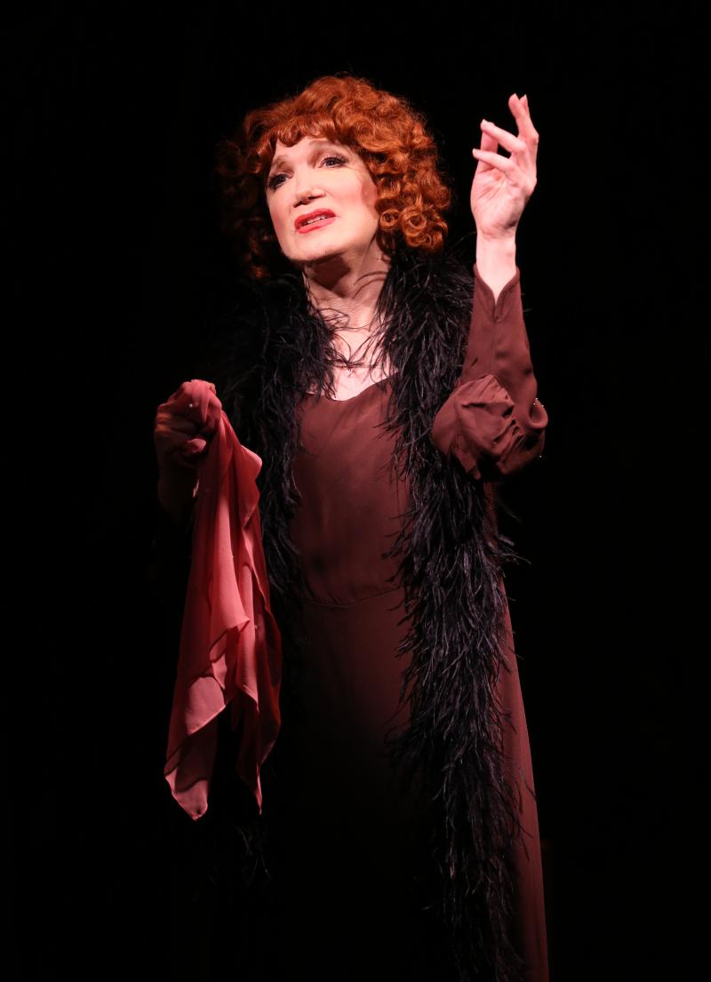 Review: Charles Busch Sends Up Pre-Code 'Fallen Woman' Flicks With THE CONFESSION OF LILY DARE Image