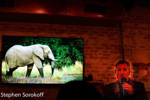 Photo Coverage: Rob Russell Brings Safari Night To Cabaret At Cafe Centro 