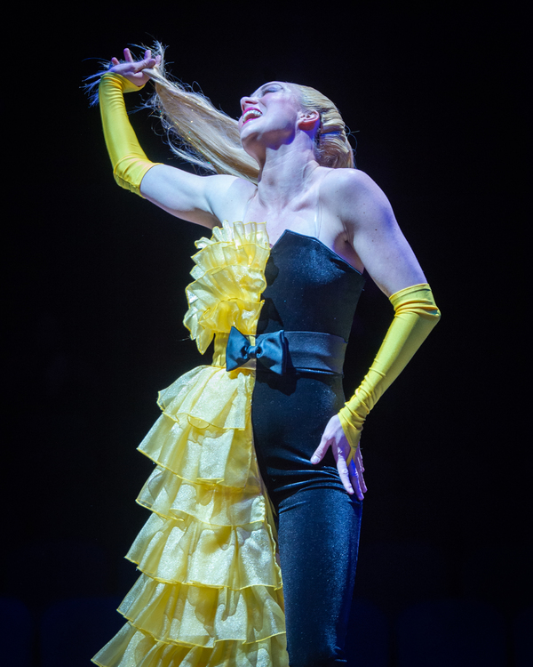 Photo Flash: THE PRINCESS AND THE PEA at the Marriott Theatre Image