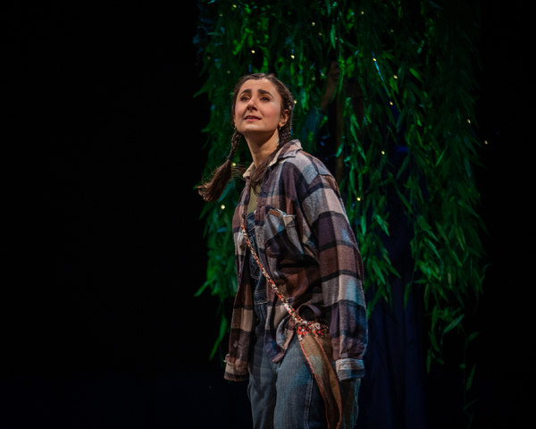 Photo Flash: THE PRINCESS AND THE PEA at the Marriott Theatre Image