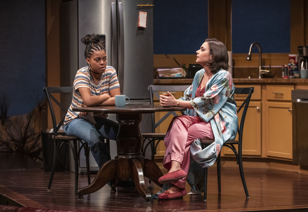 Photo Flash: Writer's Theatre Presents Lydia Diamond's STICK FLY Image