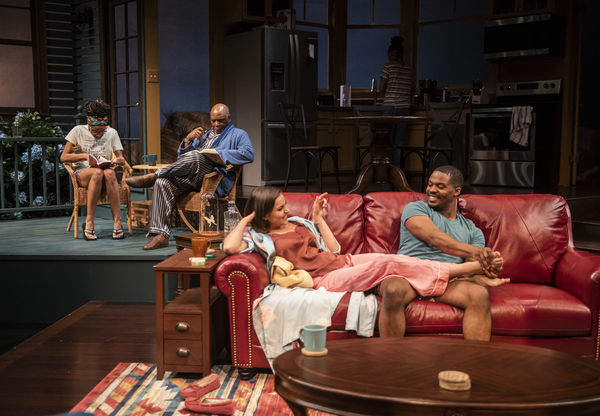 Photo Flash: Writer's Theatre Presents Lydia Diamond's STICK FLY Image