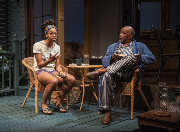 Photo Flash: Writer's Theatre Presents Lydia Diamond's STICK FLY Image