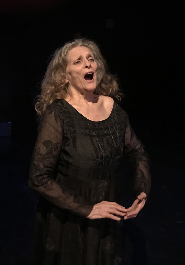 Photo Flash: Open Fist Theatre Company Celebrates 30 Years with RORSCHACH FEST Image