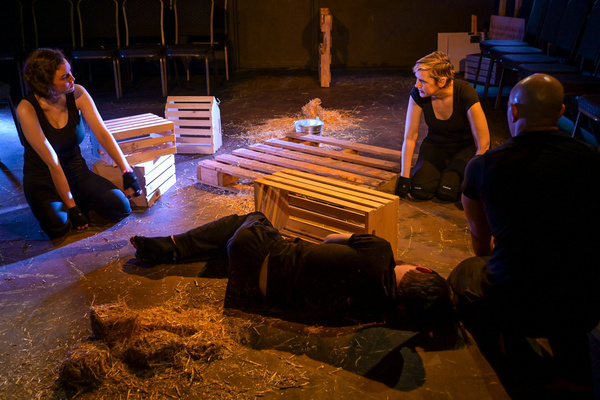 Photo Flash: The Seeing Place's World Premiere Of ANIMAL FARM Image