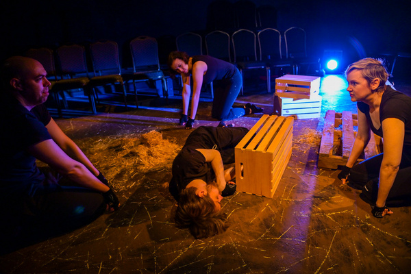 Photo Flash: The Seeing Place's World Premiere Of ANIMAL FARM Image