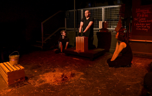 Photo Flash: The Seeing Place's World Premiere Of ANIMAL FARM Image