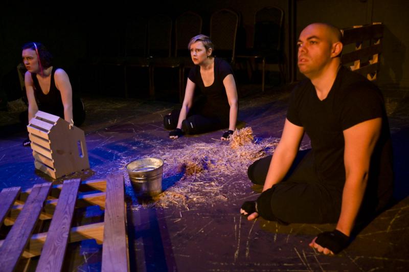 Review: The Seeing Place Brings Engaging Humanity to George Orwell's ANIMAL FARM Image
