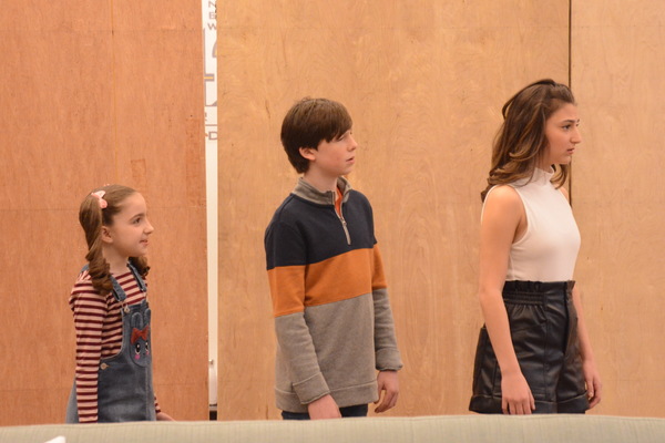 Photo Coverage: The Cast of MRS. DOUBTFIRE Meets the Press Image